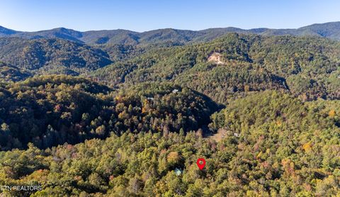 Tiny photo for 3044 Brothers Way, Sevierville, TN 37862 (MLS # 1319237)