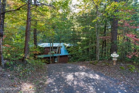 Tiny photo for 3044 Brothers Way, Sevierville, TN 37862 (MLS # 1319237)