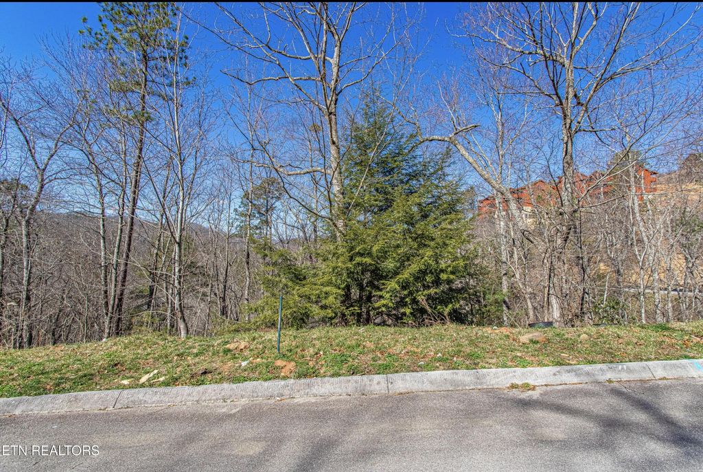 Photo of Lot #64 Smoky Ridge Way, Sevierville, TN 37862 (MLS # 1326417)