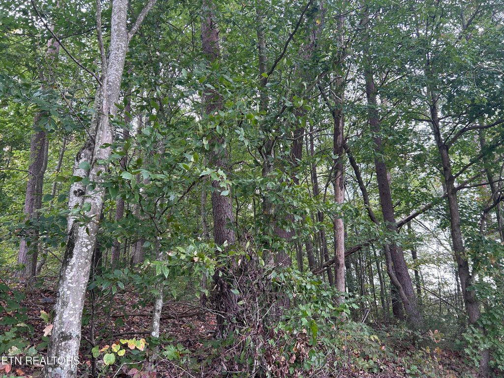 Photo of Turner Hollow Rd, Maynardville, TN 37807 (MLS # 1279511)