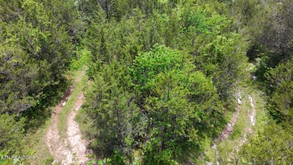 Photo of 00 Mulberry Gap Rd, Sneedville, TN 37869 (MLS # 1350384)
