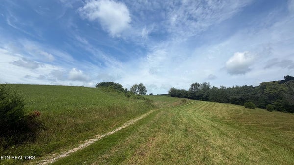 MULBERRY GAP RD, SNEEDVILLE, TN 37869 - Image 67978f6c4c2acfbf8bce25a1e1f15fed/78614002
