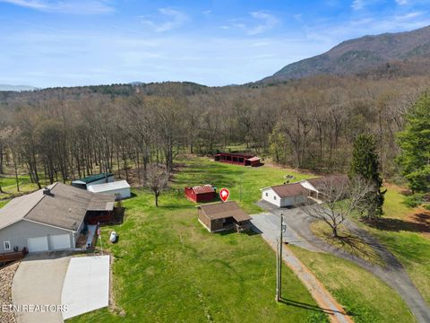 Tiny photo for 896 English Mountain Rd, Cosby, TN 37722 (MLS # 1333710)