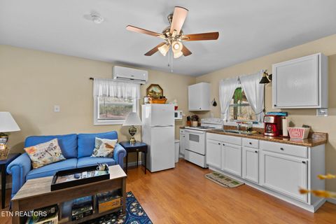 Tiny photo for 896 English Mountain Rd, Cosby, TN 37722 (MLS # 1333710)