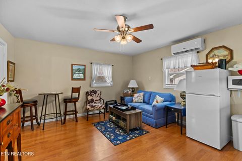 Tiny photo for 896 English Mountain Rd, Cosby, TN 37722 (MLS # 1333710)