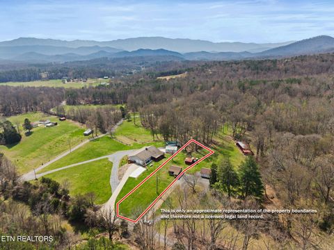 Tiny photo for 896 English Mountain Rd, Cosby, TN 37722 (MLS # 1333710)