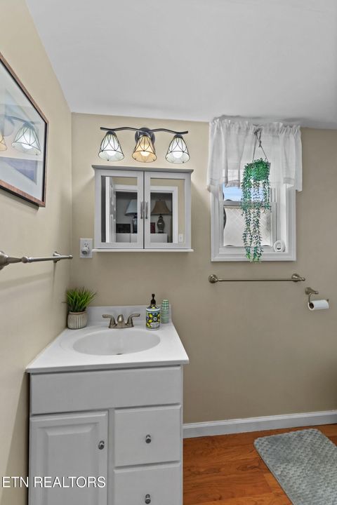 Tiny photo for 896 English Mountain Rd, Cosby, TN 37722 (MLS # 1333710)