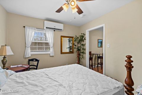 Tiny photo for 896 English Mountain Rd, Cosby, TN 37722 (MLS # 1333710)