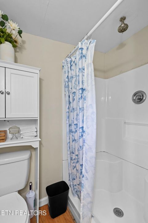 Tiny photo for 896 English Mountain Rd, Cosby, TN 37722 (MLS # 1333710)