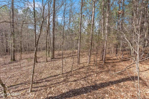 Tiny photo for NW Finnell Rd, Cleveland, TN 37312 (MLS # 1333168)