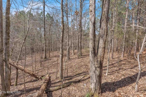 Tiny photo for NW Finnell Rd, Cleveland, TN 37312 (MLS # 1333168)
