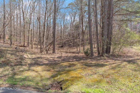 Tiny photo for NW Finnell Rd, Cleveland, TN 37312 (MLS # 1333168)