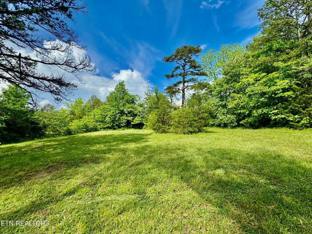 Photo of 8230 Tazewell Pike, Corryton, TN 37721 (MLS # 1263842)