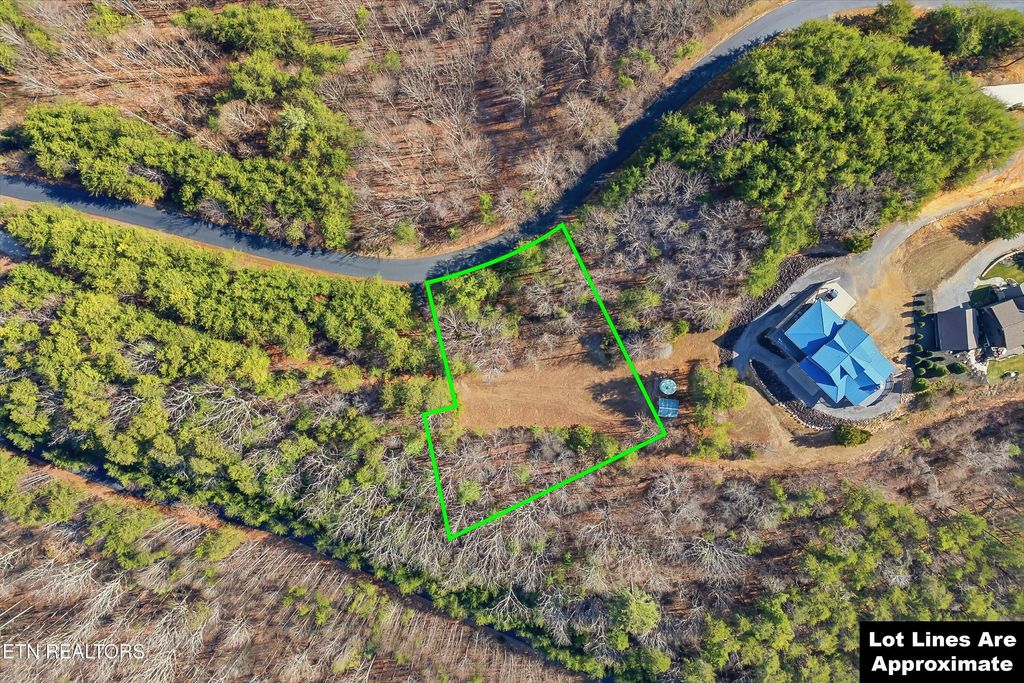 Photo of 286 Highlands Bluff, Tellico Plains, TN 37385 (MLS # 1326945)