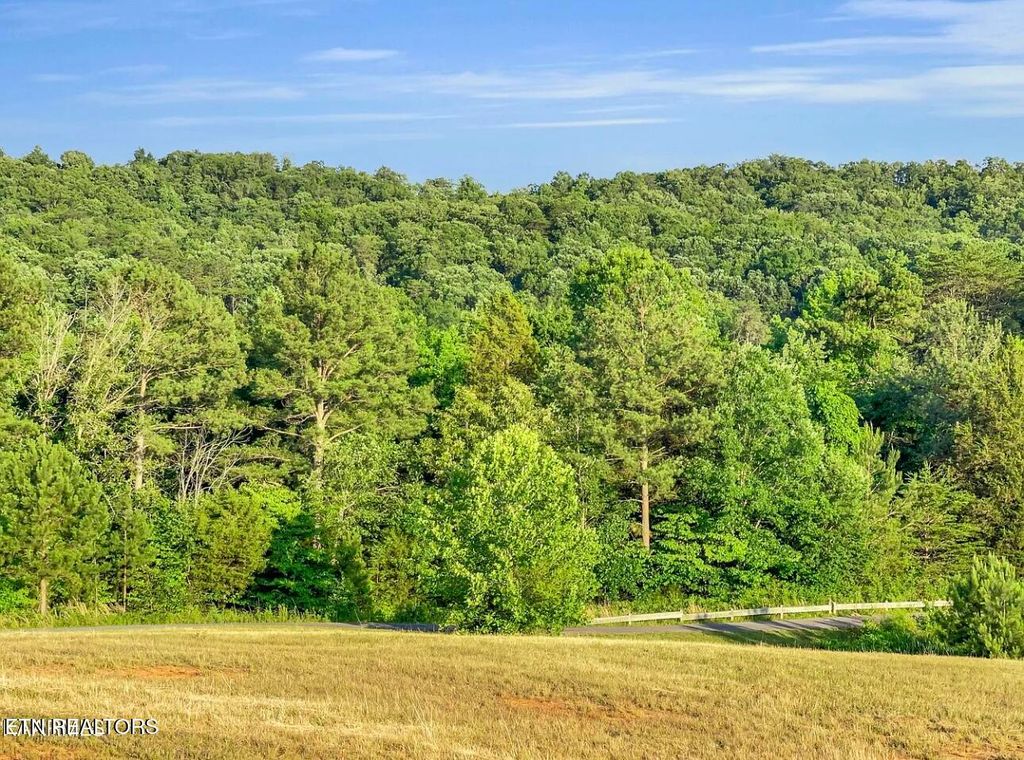 Photo of 334 Enclave Way, Kingston, TN 37763 (MLS # 1295453)