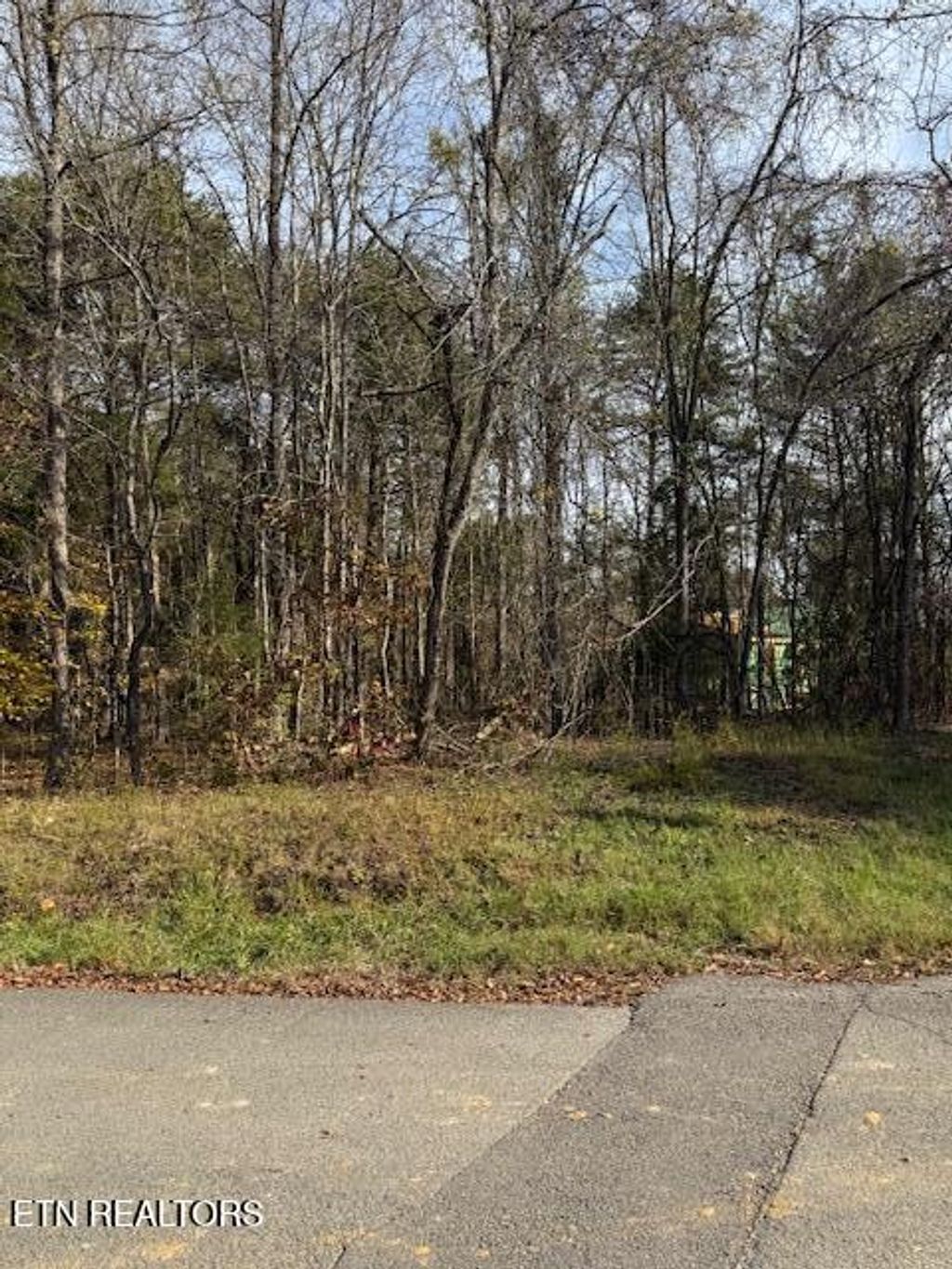 Photo of 1023 Cove Lane, Baneberry, TN 37890 (MLS # 1283463)