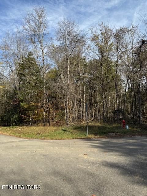 Lot 1023 Cove Lane Baneberry TN 37890