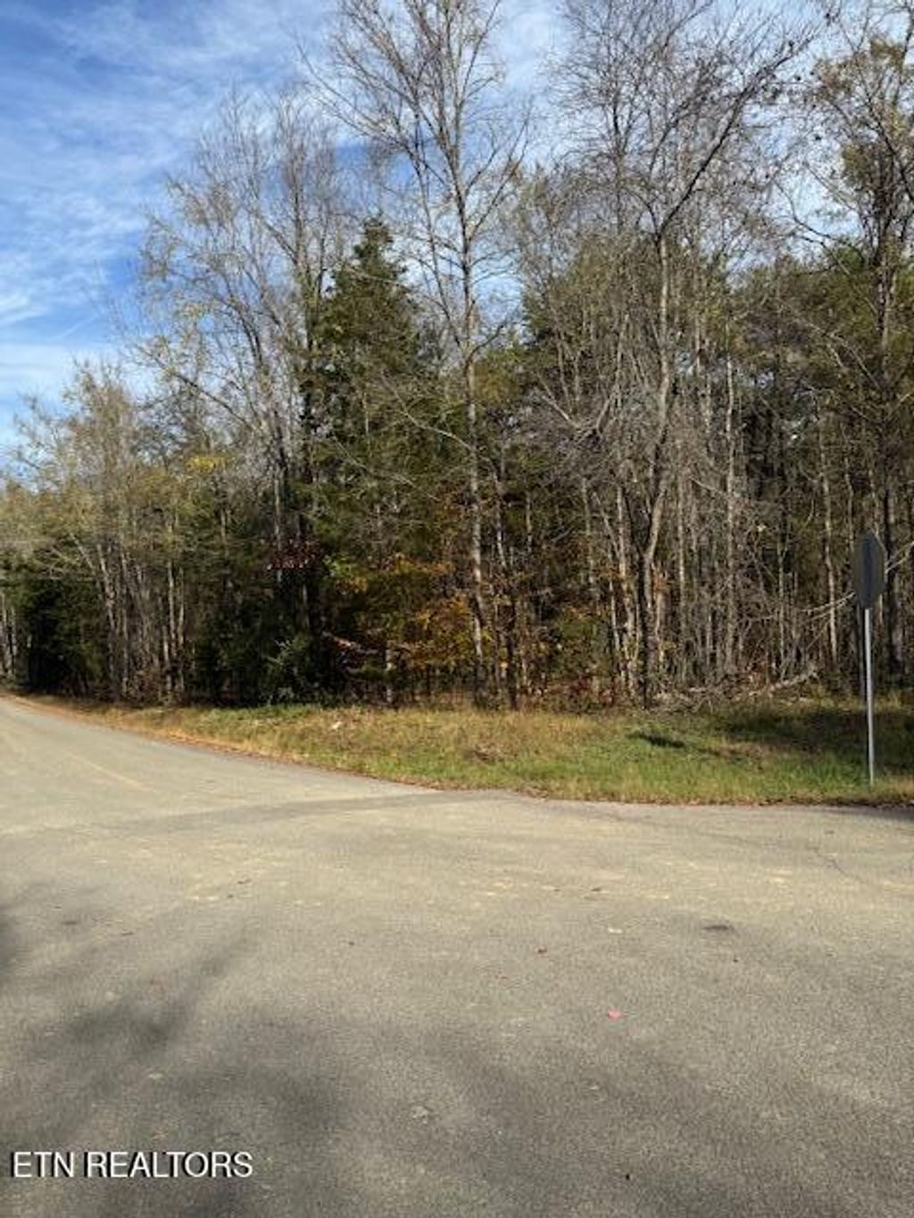 Photo of 1023 Cove Lane, Baneberry, TN 37890 (MLS # 1283463)