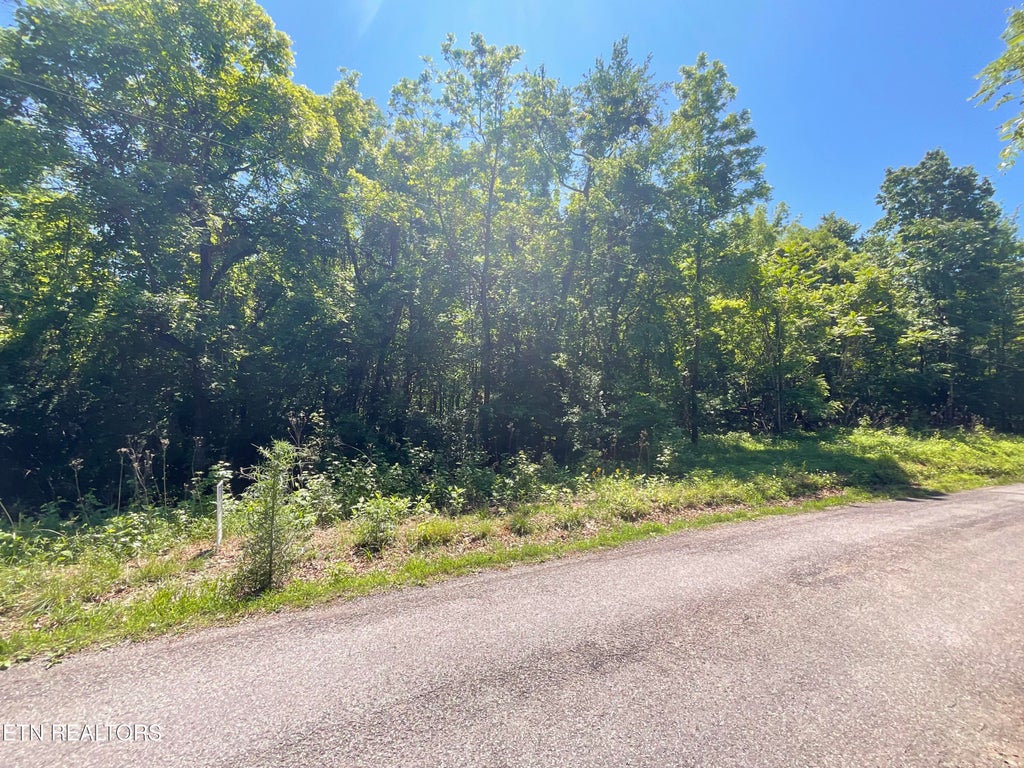 Photo of 00 Spruce Drive, Spring City, TN 37381 (MLS # 1264180)