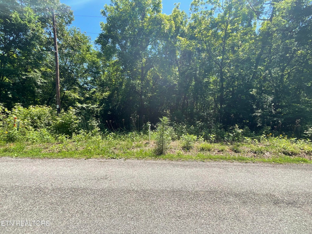 Photo of 00 Spruce Drive, Spring City, TN 37381 (MLS # 1264180)