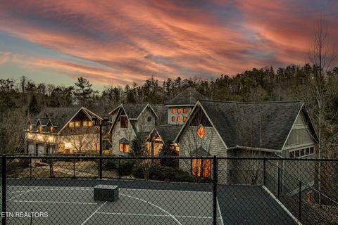 3385 Birds Creek Rd Sevierville TN 37876