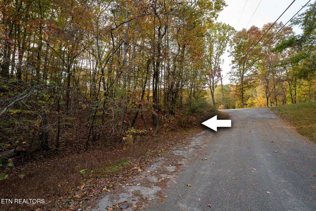 Photo of Lake Overlook Drive, Rockwood, TN 37854 (MLS # 1281399)