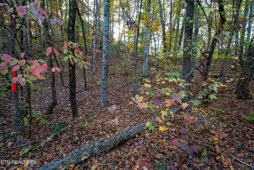 Photo of Lake Overlook Drive, Rockwood, TN 37854 (MLS # 1281399)