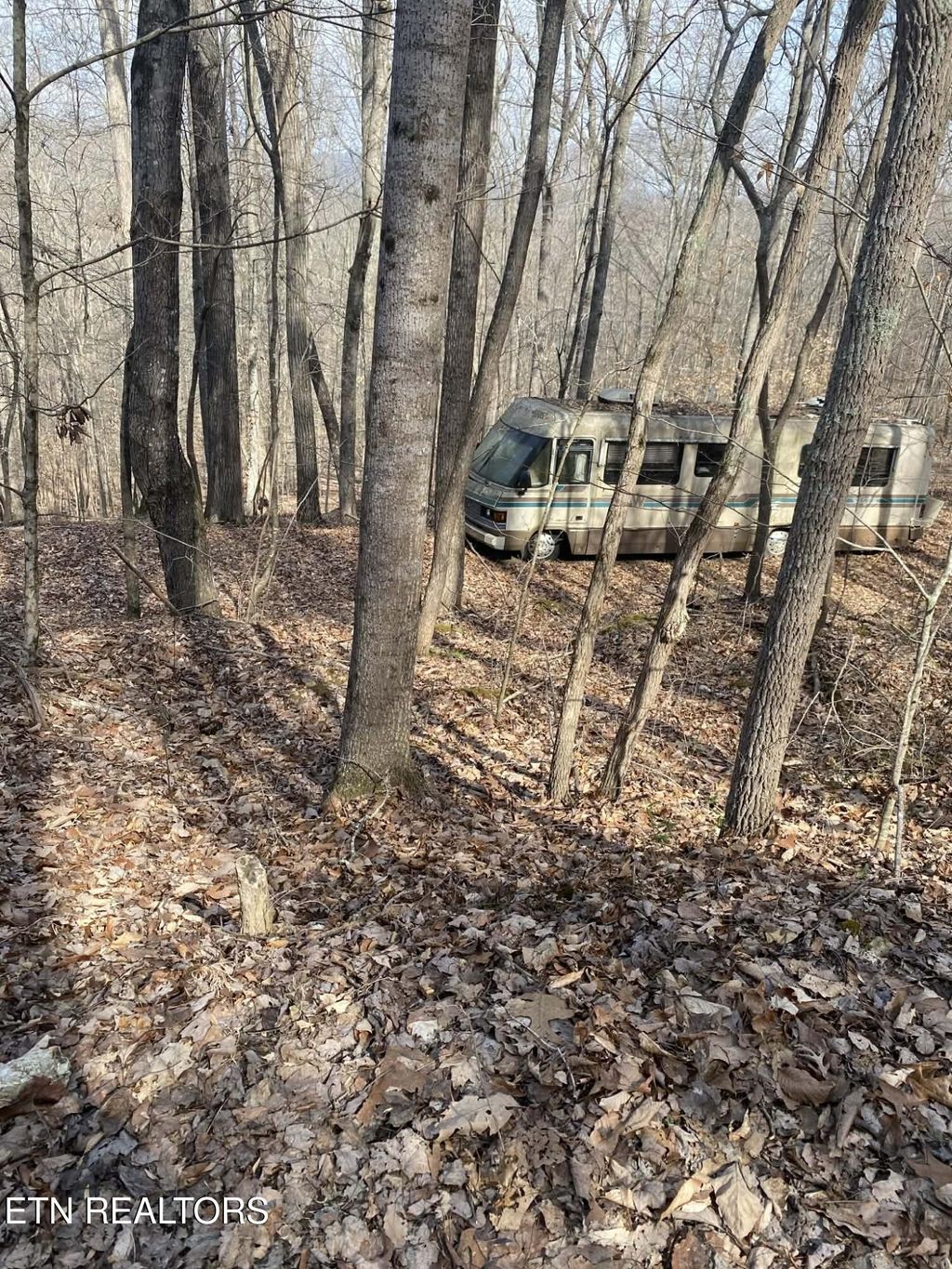 Photo of Meandering Circle #2, Maynardville, TN 37807 (MLS # 1332040)