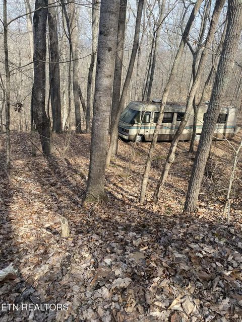 Tiny photo for Meandering Circle #2, Maynardville, TN 37807 (MLS # 1332040)