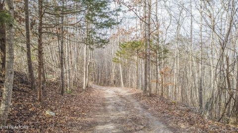 Tiny photo for Meandering Circle #2, Maynardville, TN 37807 (MLS # 1332040)