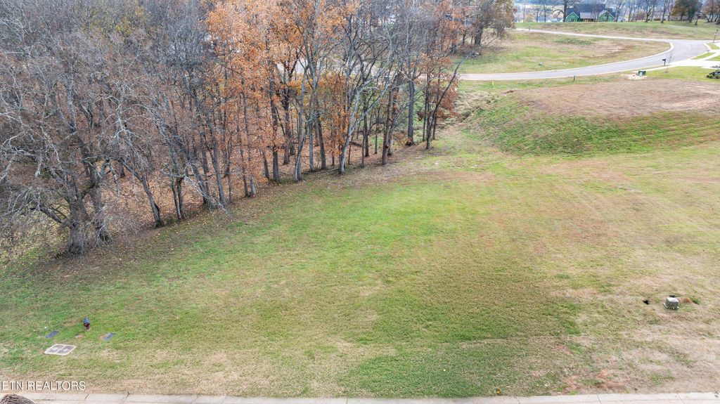 Photo of 3964 Persimmons Ridge Rd, Loudon, TN 37774 (MLS # 1322206)