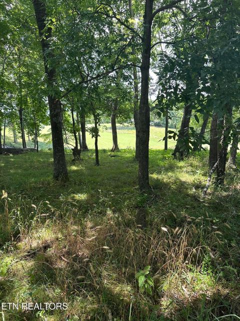 Photo of walelu trail Tr, Vonore, TN 37885 (MLS # 1308956)