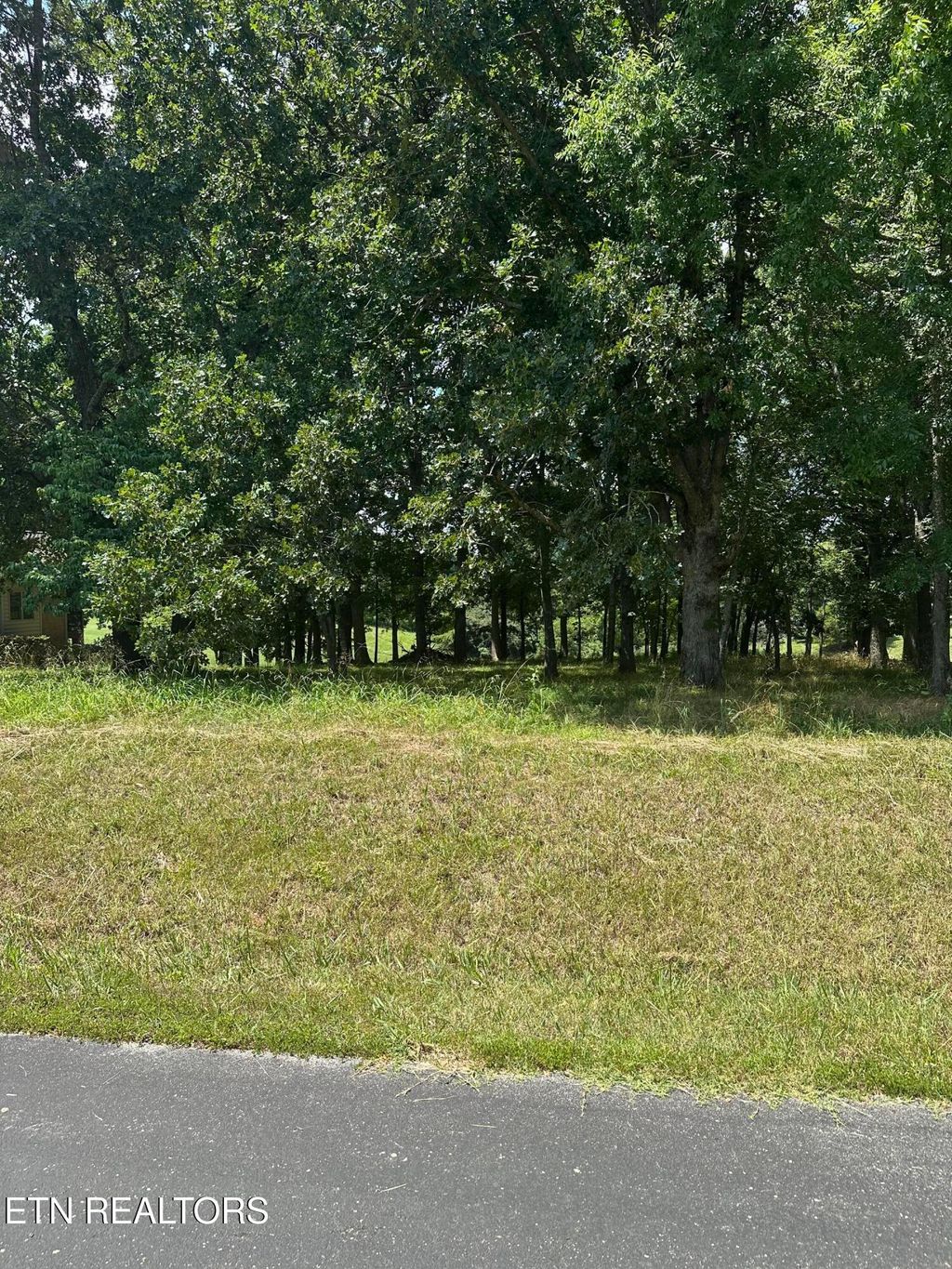Photo of walelu trail Tr, Vonore, TN 37885 (MLS # 1308956)