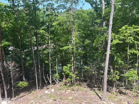 Tiny photo for 267 Lakemont Lane, Caryville, TN 37714 (MLS # 1339701)