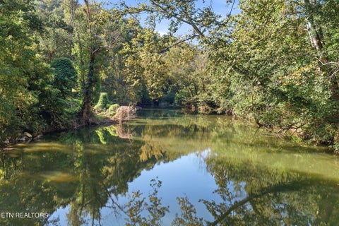 Tiny photo for 8734 Stoney Fork Rd, Huntsville, TN 37756 (MLS # 1357682)