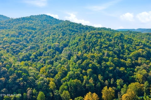 Tiny photo for 8734 Stoney Fork Rd, Huntsville, TN 37756 (MLS # 1357682)