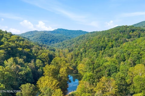Tiny photo for 8734 Stoney Fork Rd, Huntsville, TN 37756 (MLS # 1357682)
