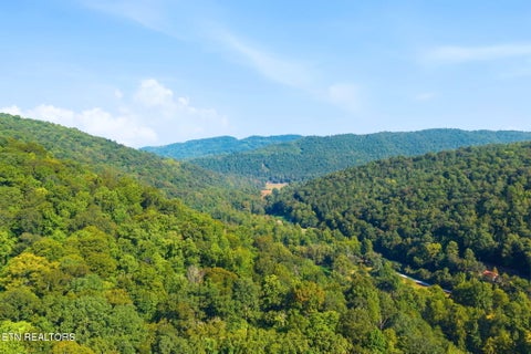 Tiny photo for 8734 Stoney Fork Rd, Huntsville, TN 37756 (MLS # 1357682)