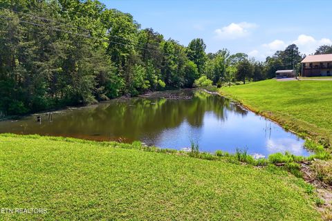 Tiny photo for 5321 Roberts Rd, Corryton, TN 37721 (MLS # 1339665)