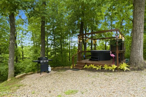 Tiny photo for 730 Chris Way, Sevierville, TN 37876 (MLS # 1339548)