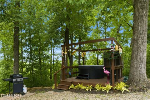 Tiny photo for 730 Chris Way, Sevierville, TN 37876 (MLS # 1339548)