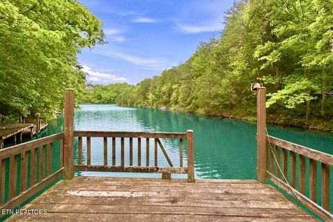 Tiny photo for 730 Chris Way, Sevierville, TN 37876 (MLS # 1339548)