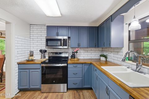 Tiny photo for 730 Chris Way, Sevierville, TN 37876 (MLS # 1339548)