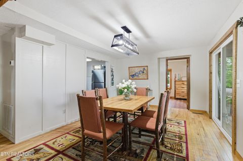 Tiny photo for 730 Chris Way, Sevierville, TN 37876 (MLS # 1339548)