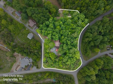 Tiny photo for 730 Chris Way, Sevierville, TN 37876 (MLS # 1339548)