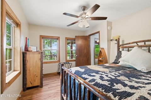 Tiny photo for 730 Chris Way, Sevierville, TN 37876 (MLS # 1339548)