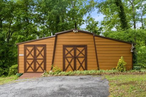 Tiny photo for 730 Chris Way, Sevierville, TN 37876 (MLS # 1339548)