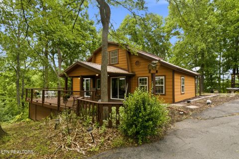 Tiny photo for 730 Chris Way, Sevierville, TN 37876 (MLS # 1339548)