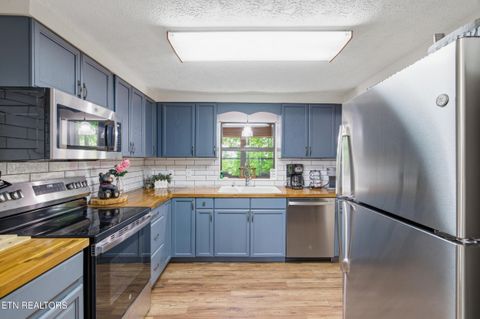 Tiny photo for 730 Chris Way, Sevierville, TN 37876 (MLS # 1339548)