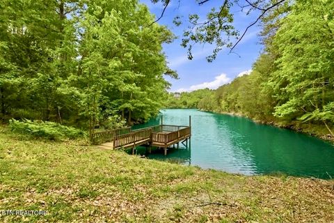 Tiny photo for 730 Chris Way, Sevierville, TN 37876 (MLS # 1339548)